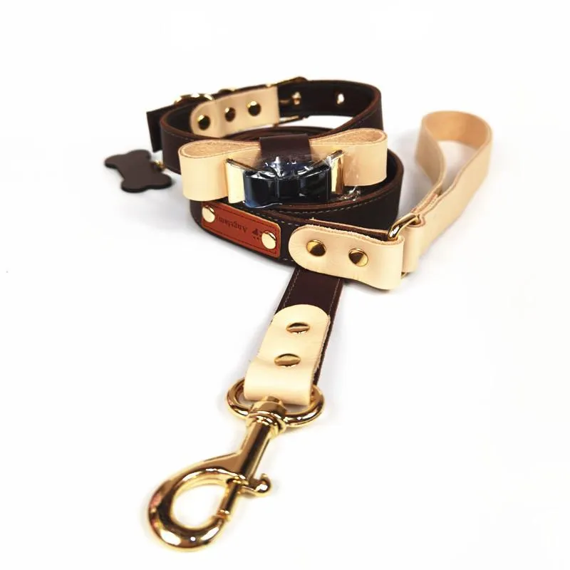 Sets Mode Hond Verstelbare Leren Halsband Set Voor Kleine Middelgrote Honden Teddy Mopshond Yorkie Corgi Toonaangevende Accessoires AML33