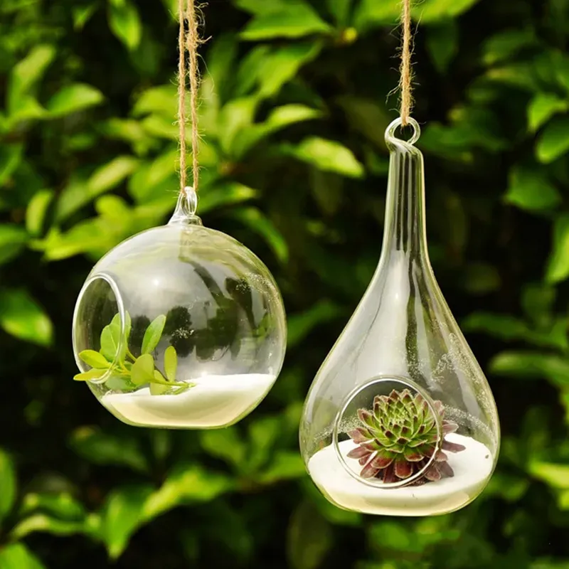 Boules Décoratives En Plastique Transparent - Parfaites Pour Terrariums Ou Décorations De Noël