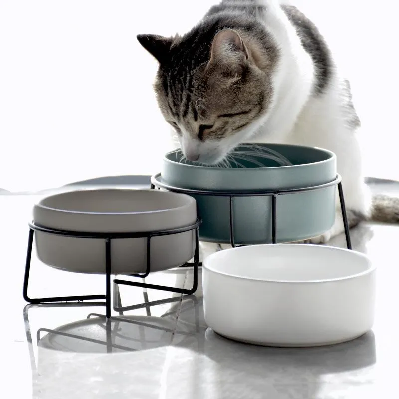 Dubbele kattenvoer-waterbakken met standaard Keramische huisdiervoedingsaccessoires Katten Kleine honden eten drinkbenodigdheden Puppy-voerbak