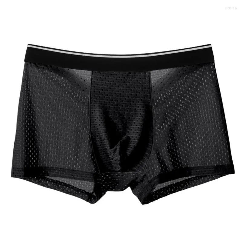 Unterhose Unterwäsche Mesh Sexy Atmungsaktive Boxershorts Transparente Slips Höschen Männlich Durchsichtige Trunk Pant