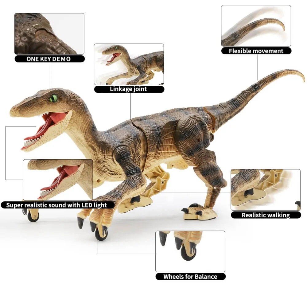 Dinosaure télécommandé, rc Dinosaure Jouet Velociraptor avec télécommande  2.4 Ghz, lumières led, marche et rugissement, cadeaux enfants à partir de 3  ans, gris