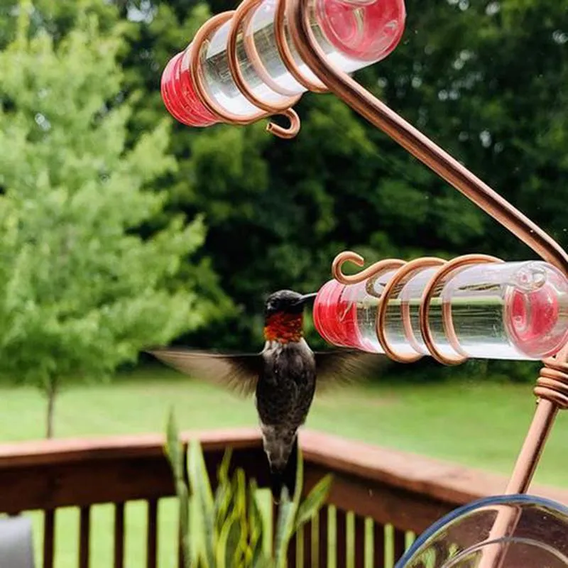 Supplies Garden Bird Feeder Supplies Hummingbird Feeder Drinker