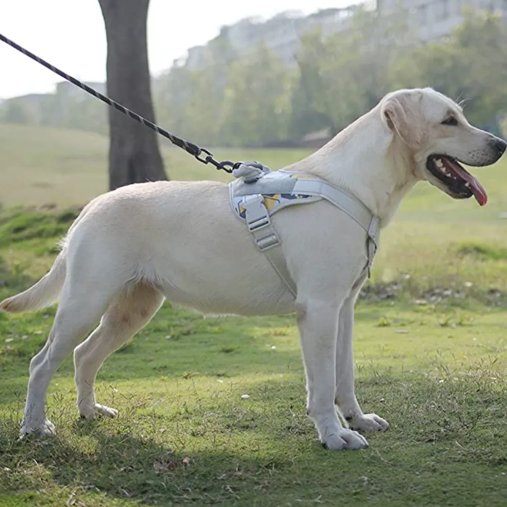 Xl dog harness with handle clearance