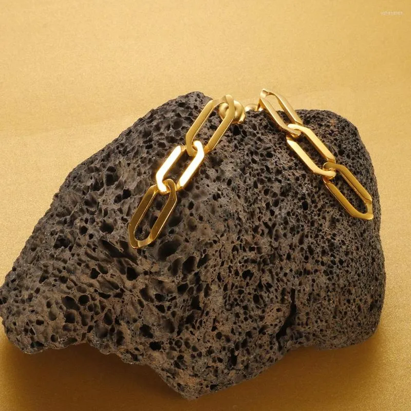 Brincos de aço inoxidável Link de aço inoxidável Drop Long Drop Gold Color Stud for Women Fashion Ear Jewelry