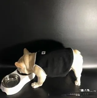 ブティック犬アパレルサマークールペット犬服