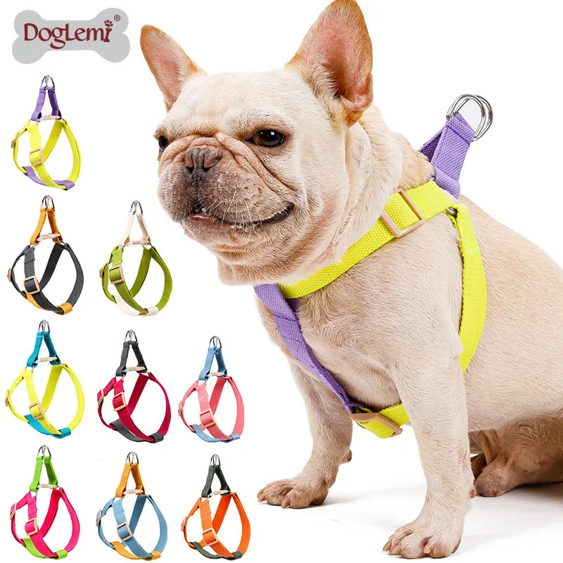 Dog Collars Leashes Dog Harness and Leash Set No Pull Pet Leashes for Small Dogs French Bulldog Chihuahua Harness Lead Leash and Collar for Yorkies 230512