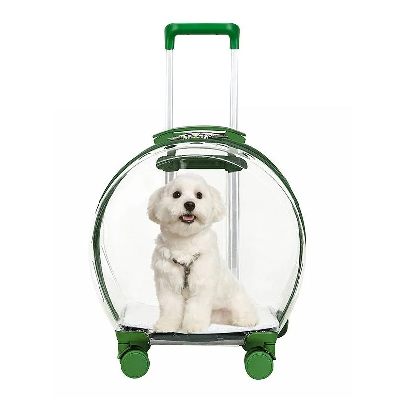 Transporteurs Valise à roulettes pour animaux de compagnie Boîte à bulles transparente Étui de transport de voyage pour chat et chien Vue panoramique à 360 degrés Sac à main Forfait de sortie