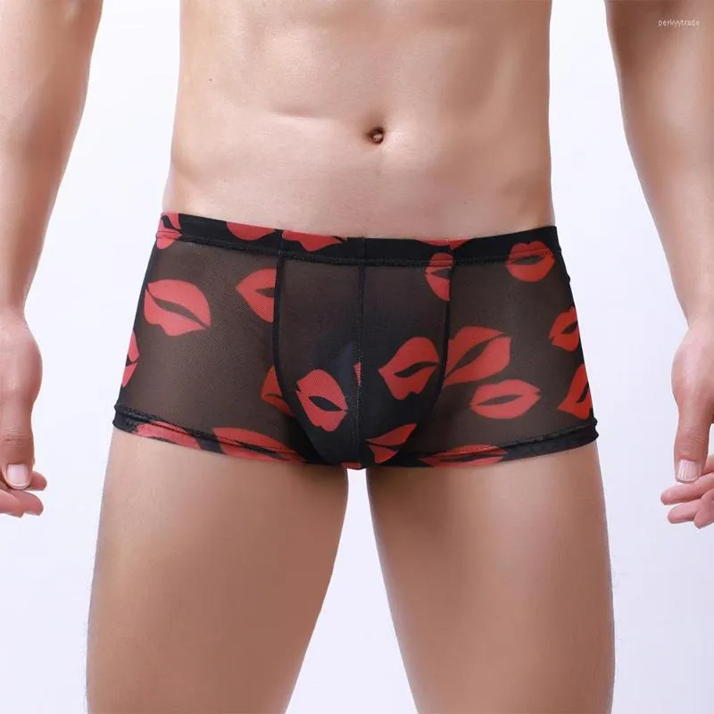 Mens Transparent Boxer Heart Boxer Briefs With Sexy Lips And Bulge Pouch  Perfect Valentines Day Or Husband Gift From Perkyytrade, $8.96