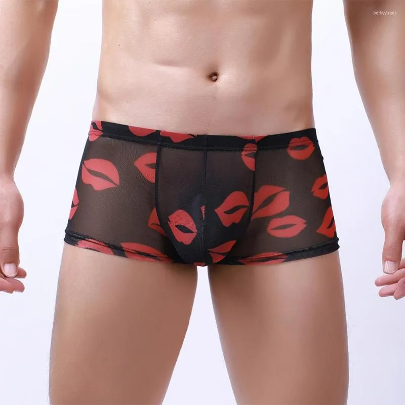 Transparent boxer briefs hot sale