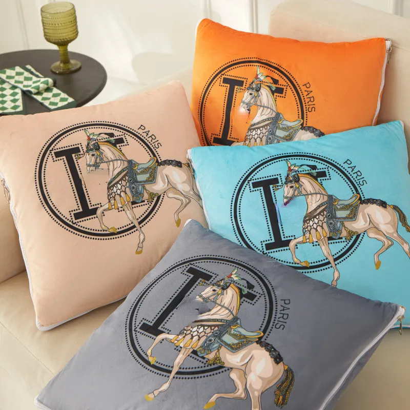 Matching throw pillow and blanket shop