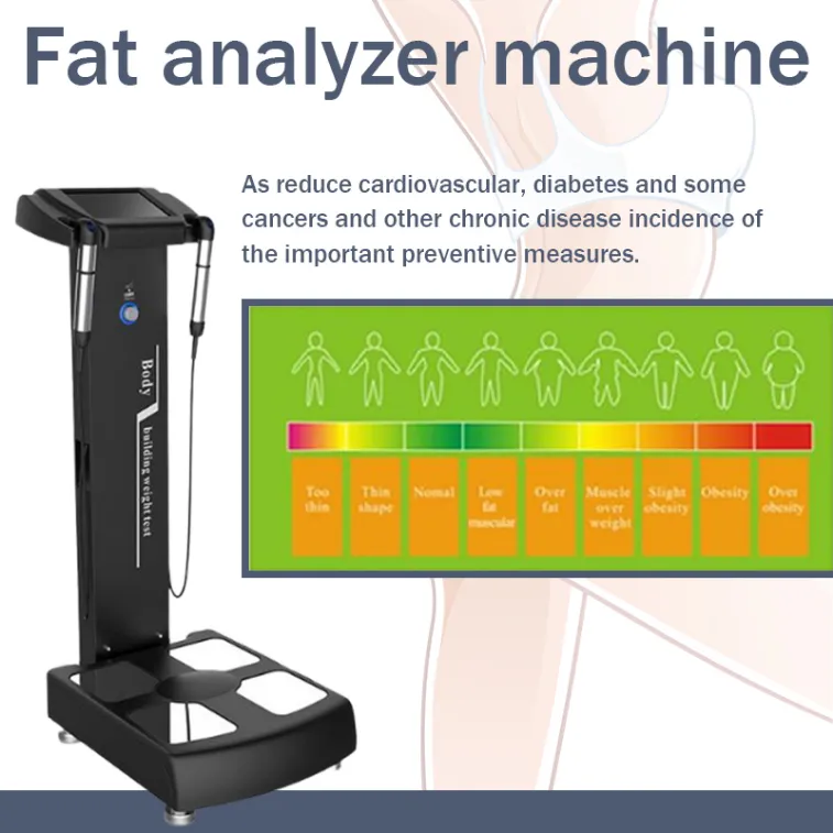 Dispositivo di composizione dell'analizzatore di salute del corpo completo della macchina dimagrante con stampante A4 in vendita