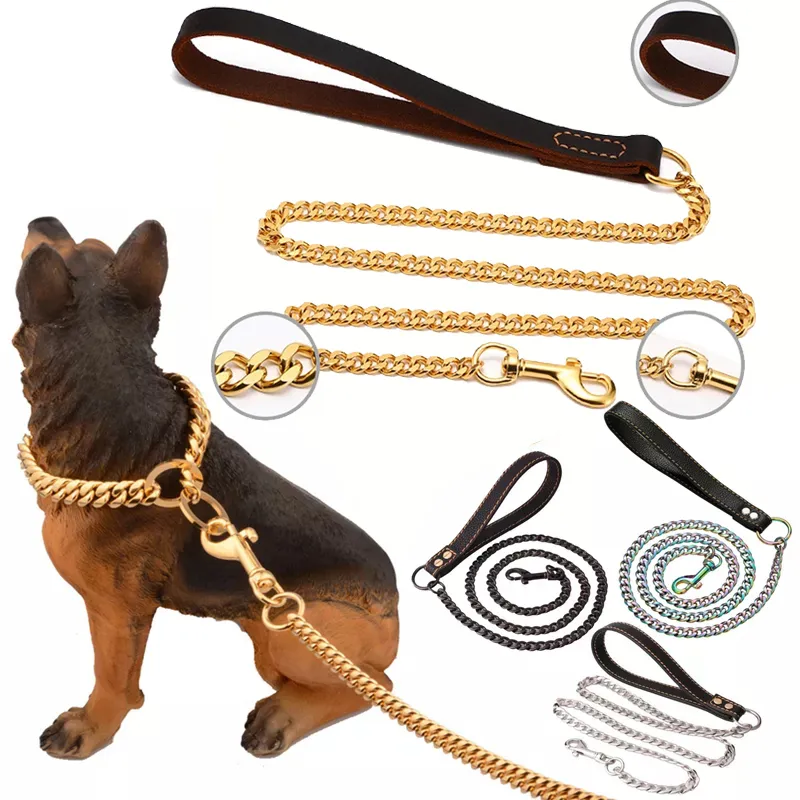 Metal training collars for dogs new arrivals