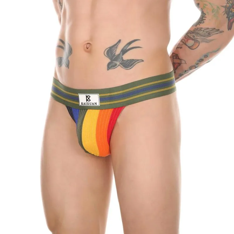 Underpants homens calcinha calcinha sexy mini cuecas de roupas íntimas bolsa de pênis de algodão biquíni banda de cintura larga