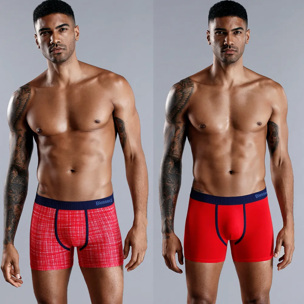 Calzoncillos para camisas best sale
