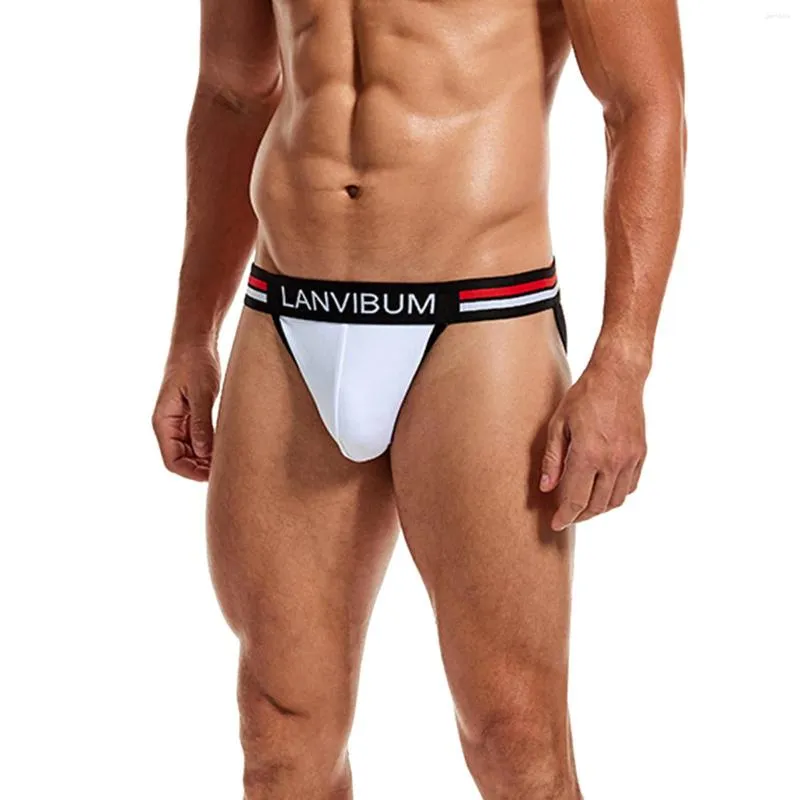 Mens Sexy Ride Long Briefs For Men Big Knickers For Fashionable Underwear  From Garrickica, $19.22