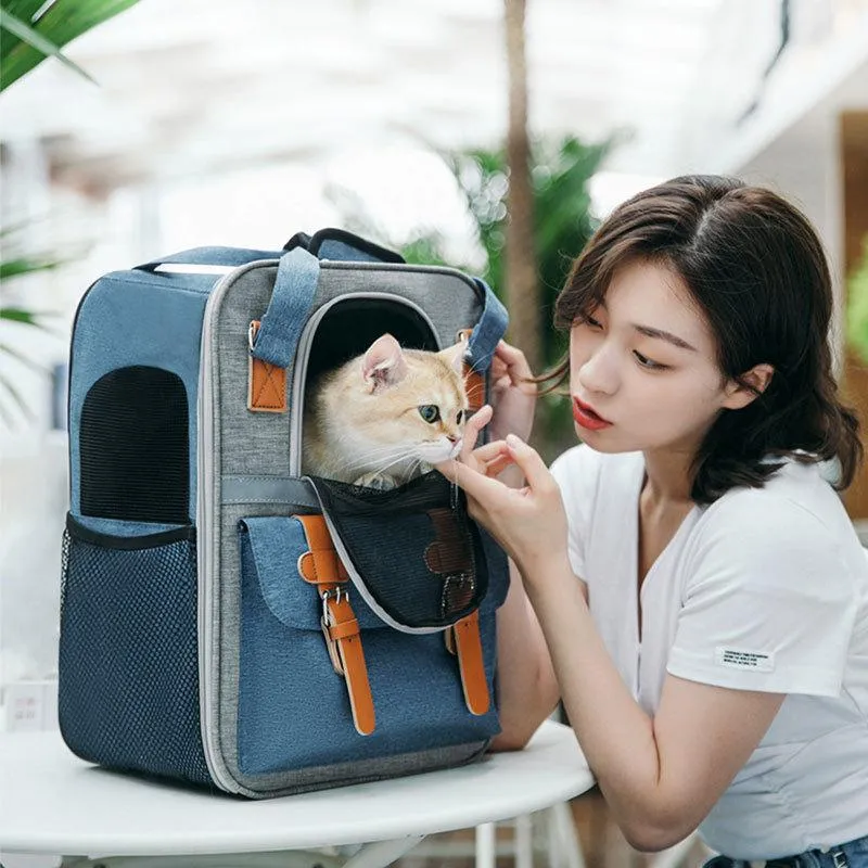 Zaino per cani da compagnia Borsa da viaggio portatile Borsa da viaggio traspirante in tessuto Oxford di grande capacità Borsa da viaggio per gatti con doppie cinghie