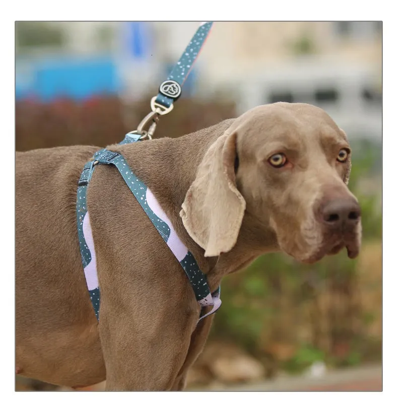 Dog Collars Leashes EVERKING gray Dog leashs and Collar Set Adjustable Pet vest harness greyhound dog collars and harnesses puppy dog nylon harness 230512