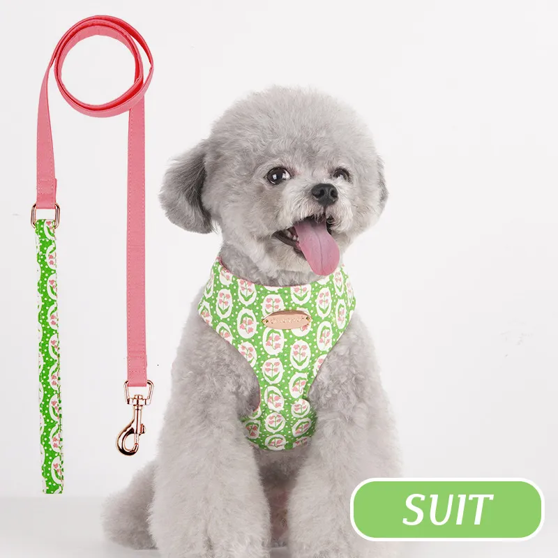 Dog Harness And Lead Floral Pattern Collar Leash Set For Small