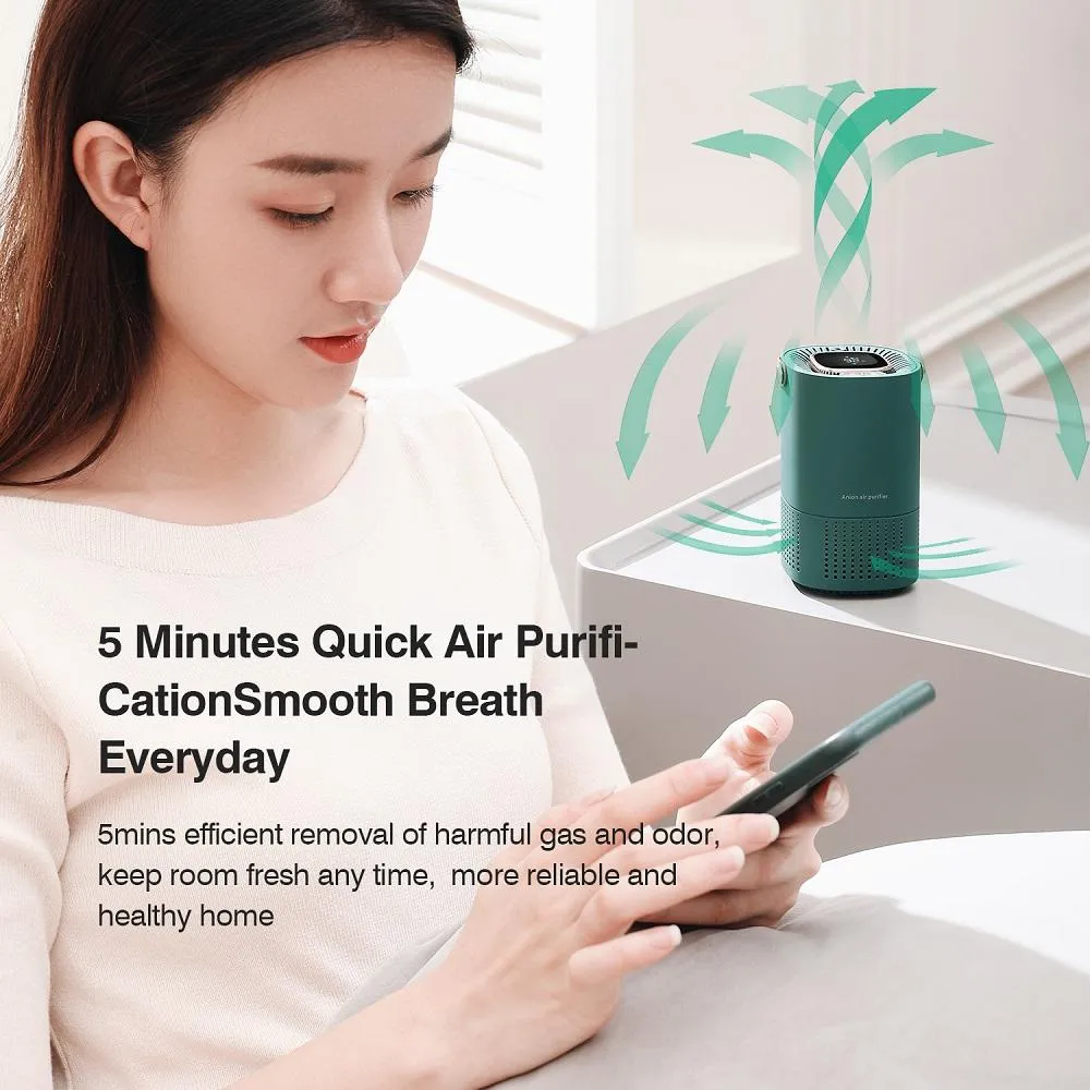 Ionizer smell 2024