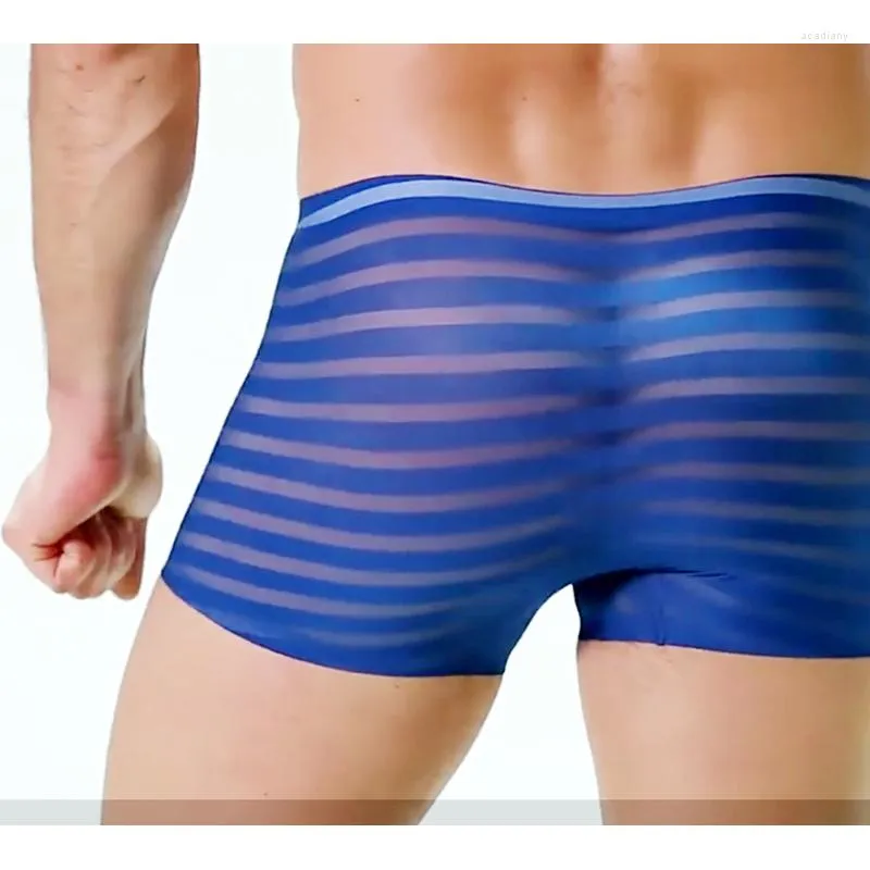 Boxer transparents homme top