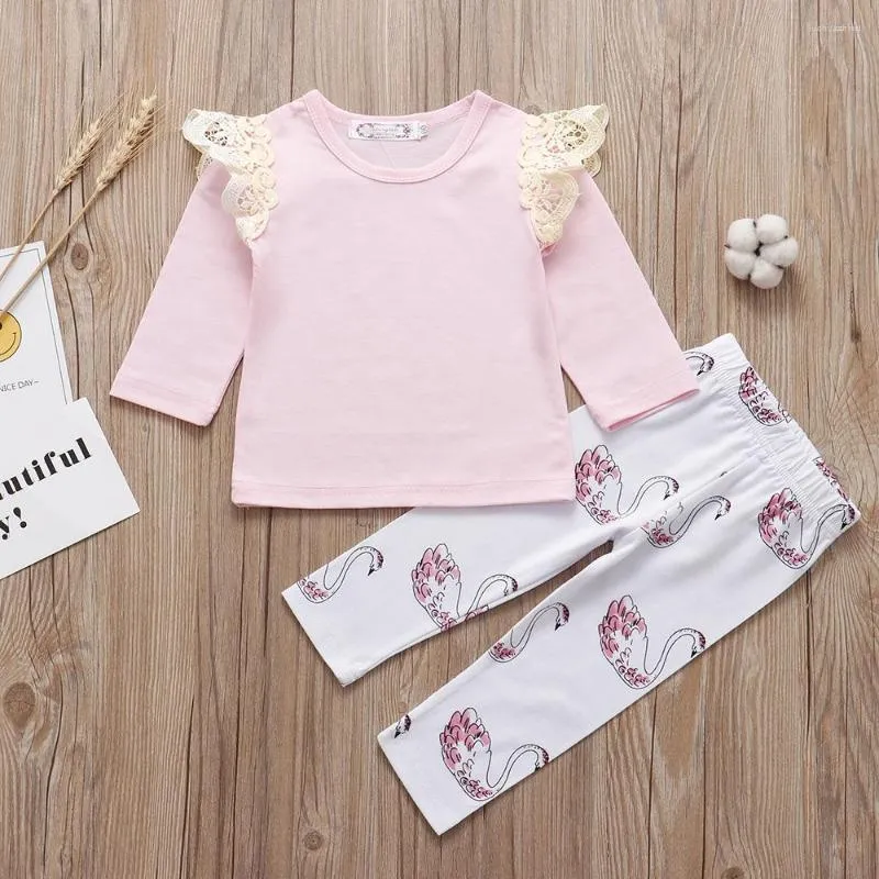 Kledingsets geboren babymeisjeskleding Set 2023 Spring roze t-shirt Little Swan Pants Infant Girls Outfits