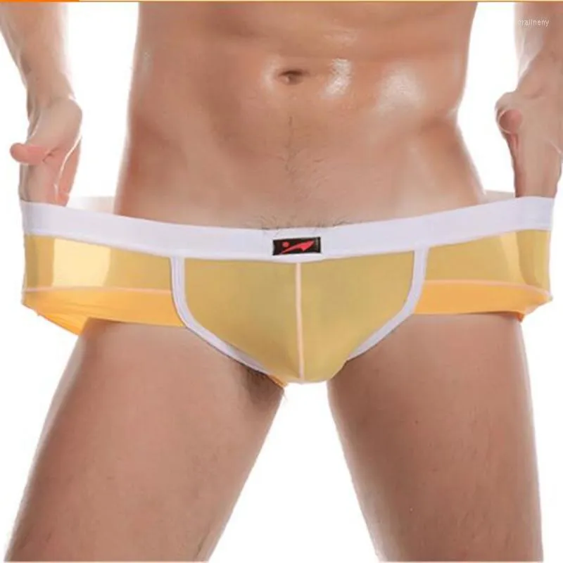 Onderbroek 2023 sexy mannen briefs slank ijs zijden slips bikini's u convex transparant ondergoed elastische dunne shorts