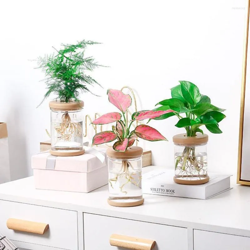 Vaser 1pc hydroponic växt transparent plastvas självupptagande vatten blomkruka enkel stil inomhus kontor bordsskiva prydnad