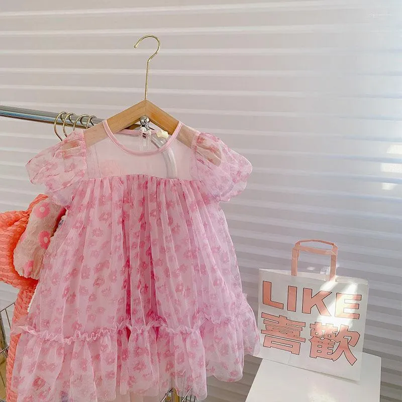 Vestidos de menina Baby Tulle Princess Dress 2023 Summer Kids Rous Girls Mesh Birthday Party Crianças Robe Fille Enfant