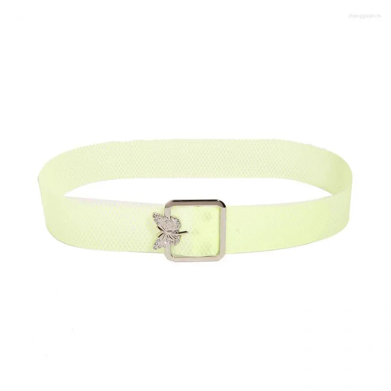 Ceinture plastique shop couleur