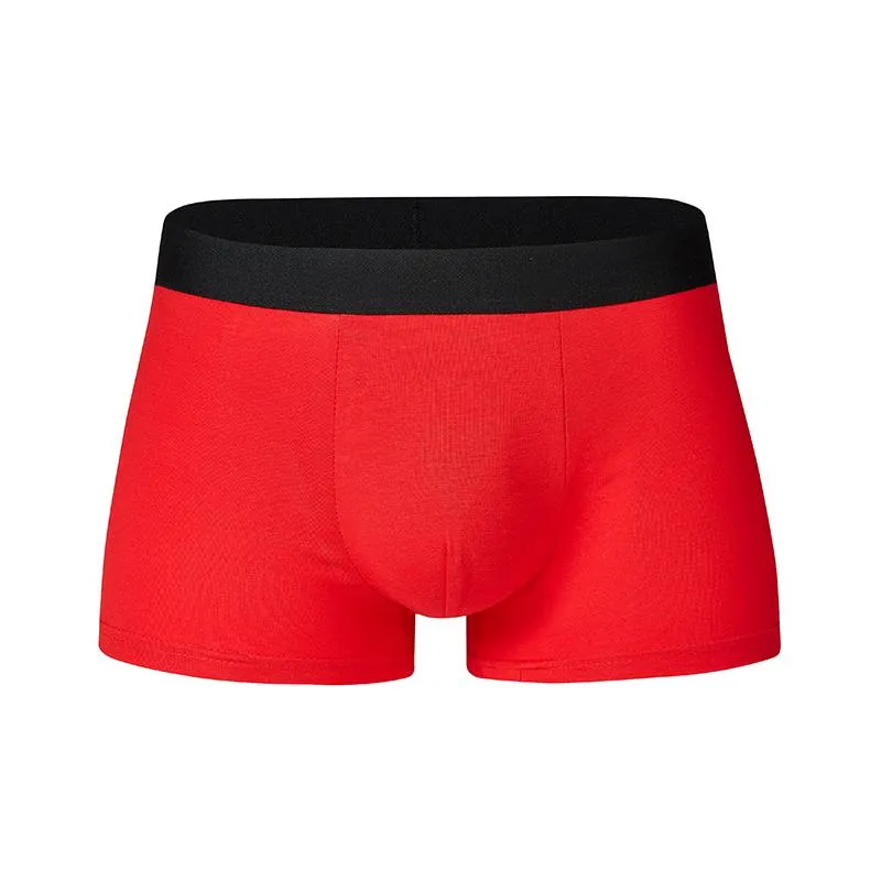 Calecon homme de qualité best sale