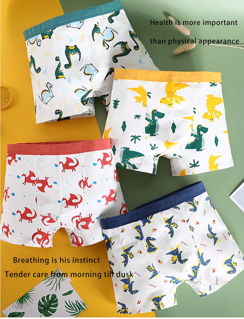 Dinosaurs Pattern Cotton Boxer Kidley Panties Set For Kids And Teens From  Dang08, $9.38