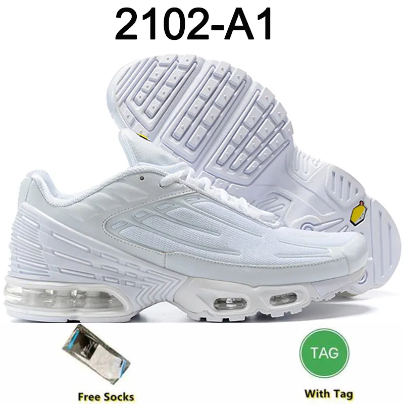 Basket requin 2020 2025