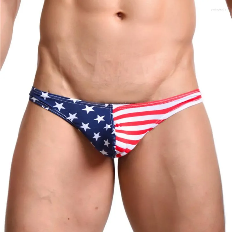 Underpants Men's Sexy Underwear Briefs Thongs Bikini Cotton USA Flag Low Waist Gay Penis Pouch Fashion Thong