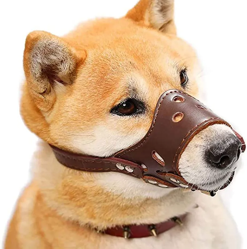 Bane dog muzzle shop