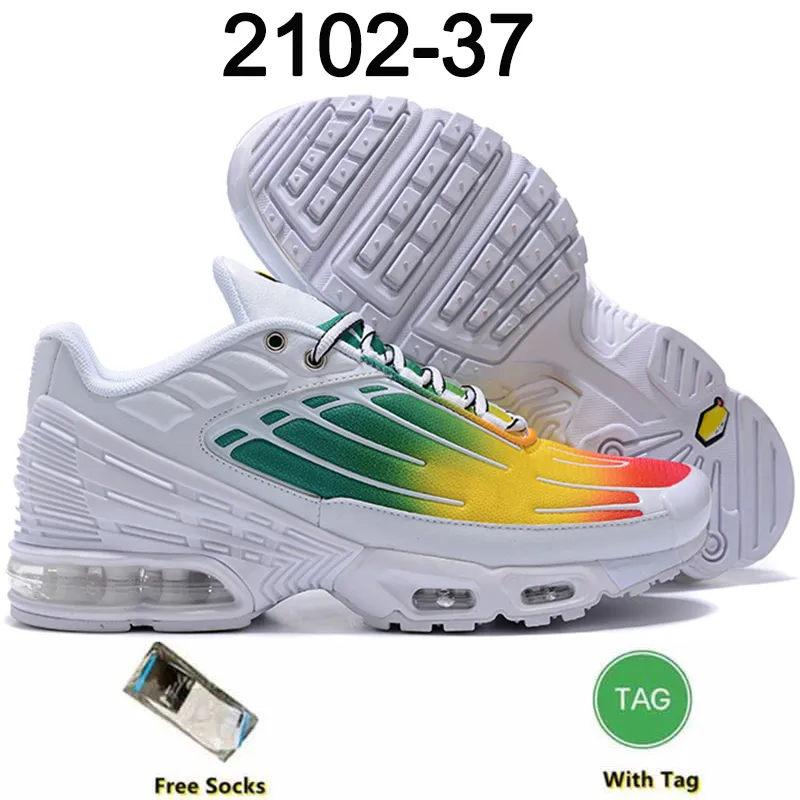 Basket requin 2020 shop