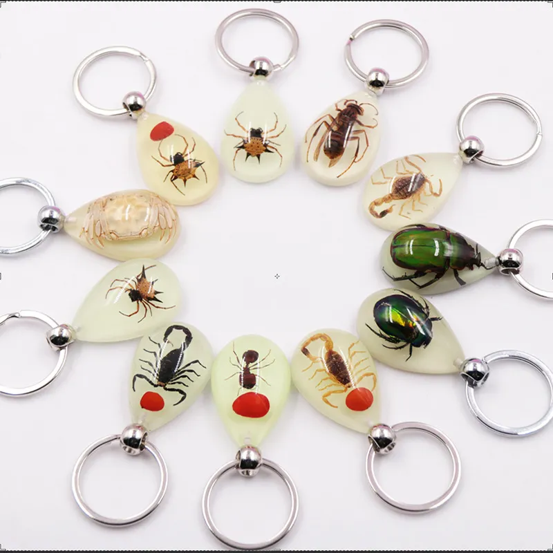 Kreativer Skorpion-Schlüsselanhänger, Auto-Schlüsselanhänger, Nachtleuchtender Skorpion-Bernstein-Anhänger, Auto-Anhänger, Handtaschen-Geldbörsen-Anhänger