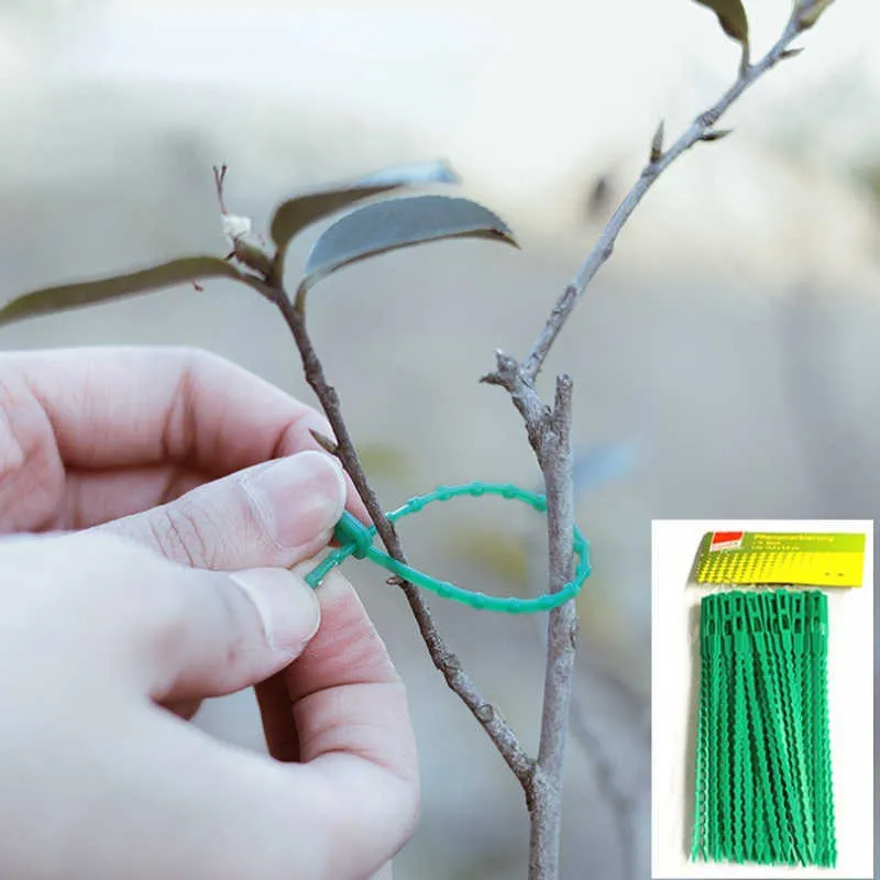 Clip Fissaggio Steli Piante Set Di 40 Clip Di Supporto Per Piante Da Giardino - Per Pomodori, Verdure E Piante Rampicanti, Verde E Bianco Fissaggio Steli Piante Rampicanti