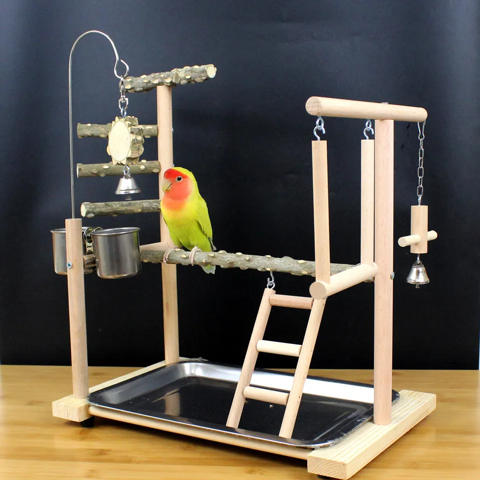 Budgie activity centre on sale
