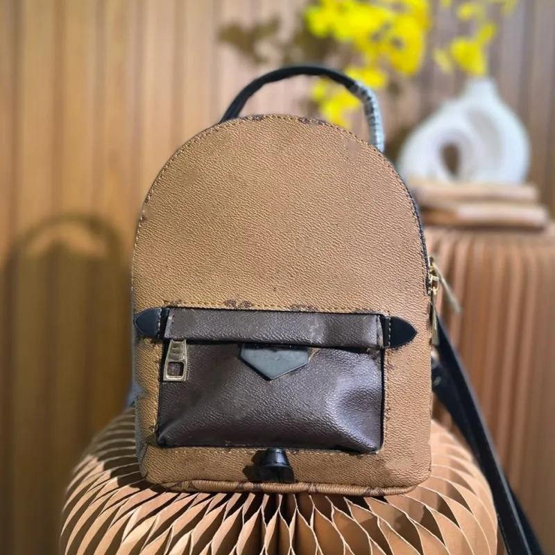 Designer Palm Springs Mini Backpack Fashionable Casual Vanity Bag