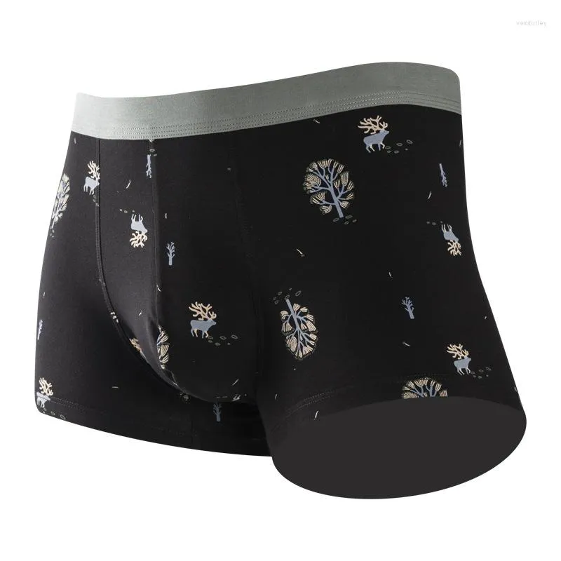 Calzoncillos casual look hot sale