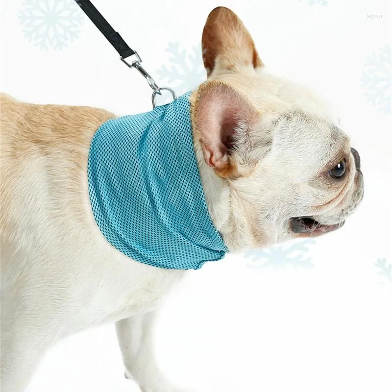 Halfords car seat covers for dogs cheap