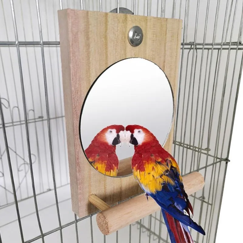 Perches Miroirs d'entraînement parrot avec rack de perche miroir à poche en bois pour cage jouets parakeet pinson d'oiseaux