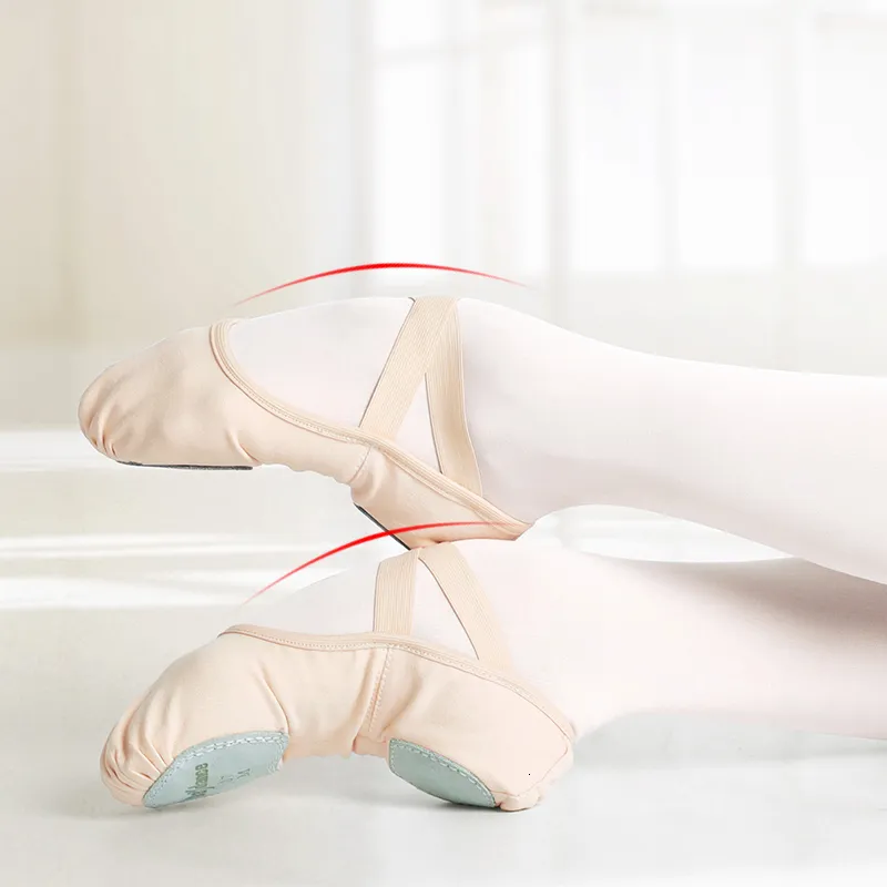 Professional Stretch Ballet Dance Shoes For Women And Girls Soft