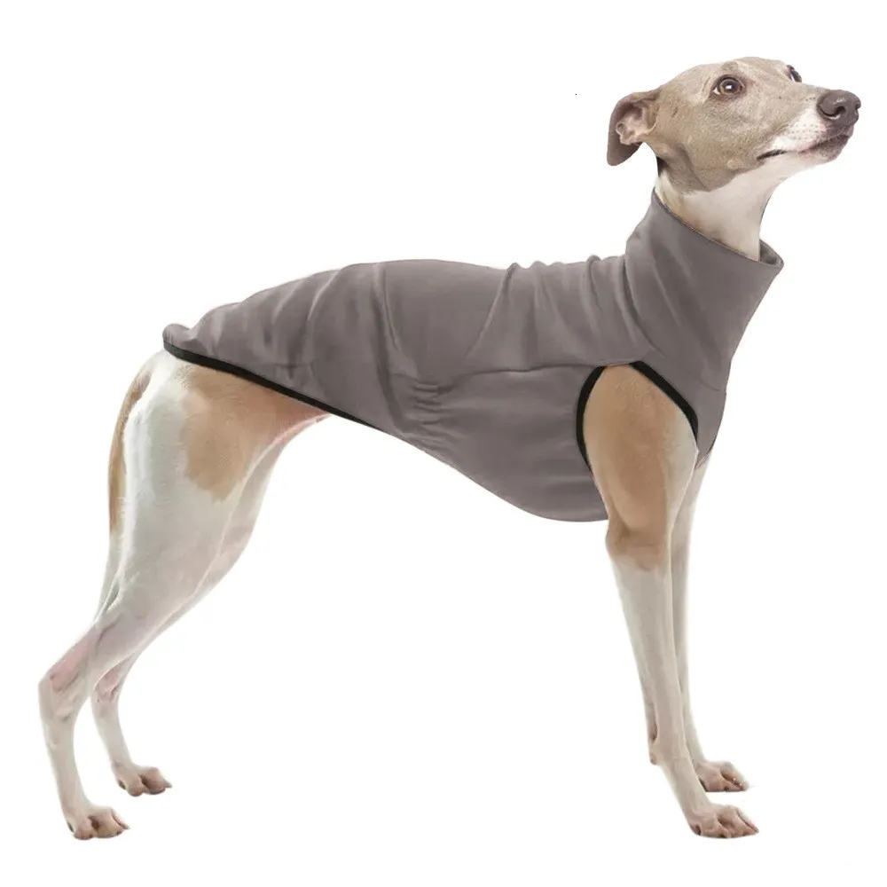 Italian greyhound diapers hotsell