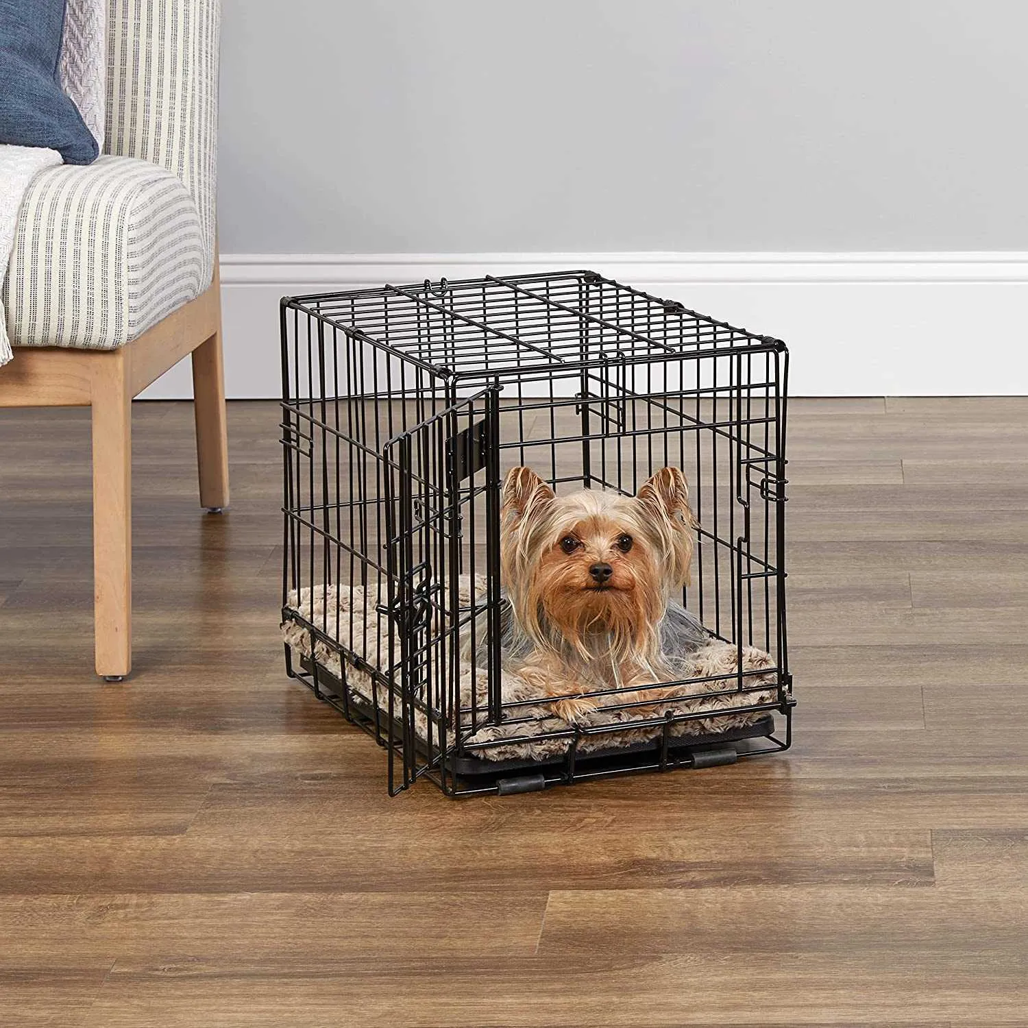 Little dog cage hotsell