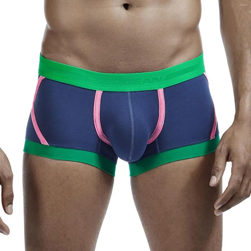 MUITAS PONTAS PACA MENINAS BOXERS CAIS PAIS CAIS TEXTURA CULTER CLOTERS CURCO CUMPOR BOXER BRIPULÍVEL HOMBRES BOXORAIDOR