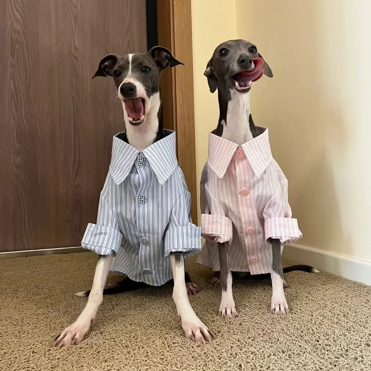 Greyhound shirts for dogs clearance