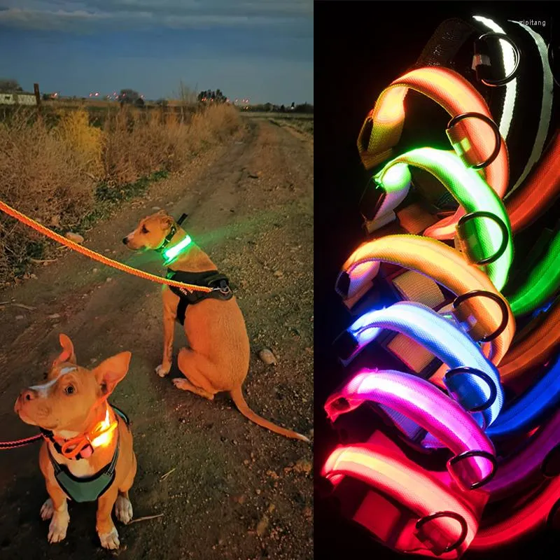 Hundhalsar USB -laddning LED -krage Säkerhet Lysande husdjur Ljus upp Natt Nylonhalsband Glödande leder för hundar