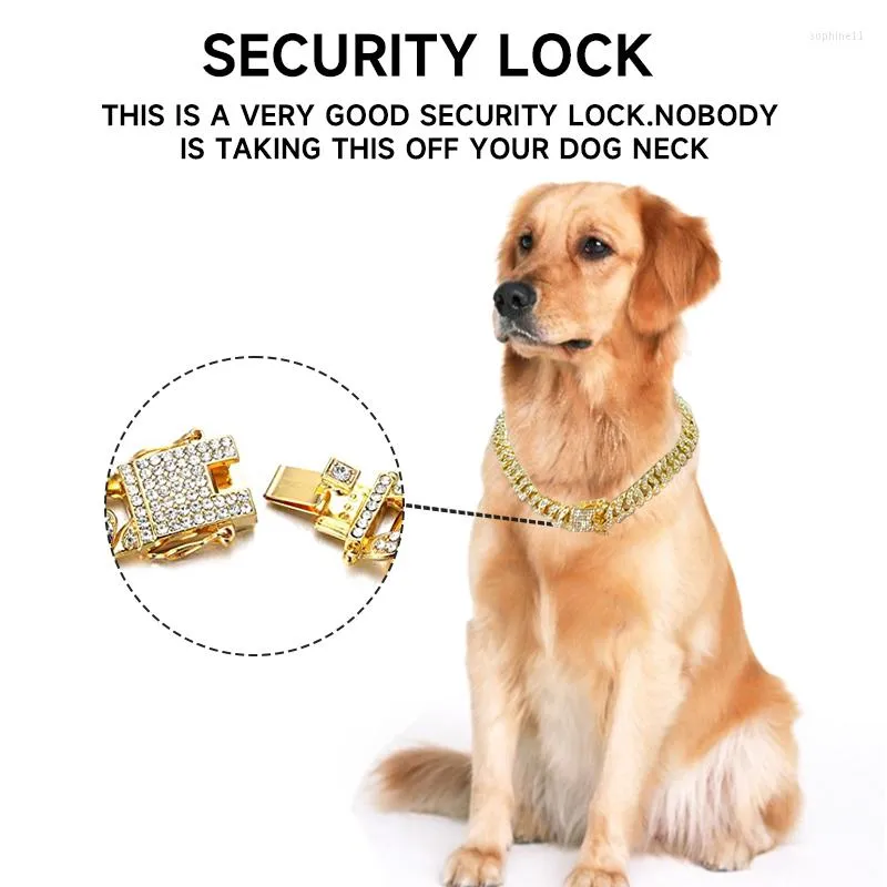 Gold Chain Dog Chain Amazon Gold Bling Large Dog Chain Collar Necklace