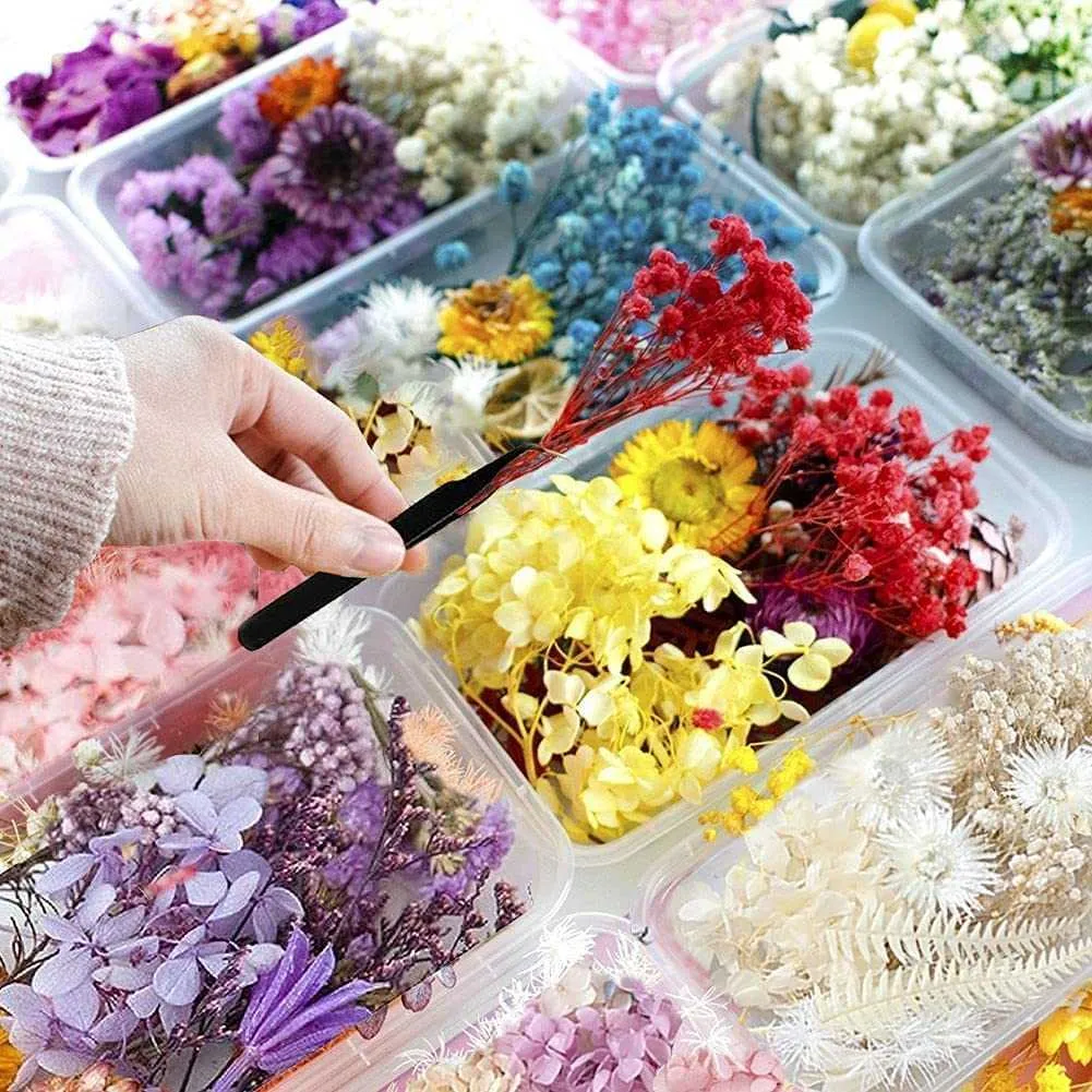 1 Box Real Natural Dried Flower Dry Plants Making Craft DIY